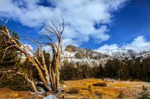 Tioga Pass and Mt. Dana-8947.jpg Tioga Pass and Mt. Dana-8947.jpg